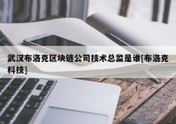 武汉布洛克区块链公司技术总监是谁[布洛克科技]